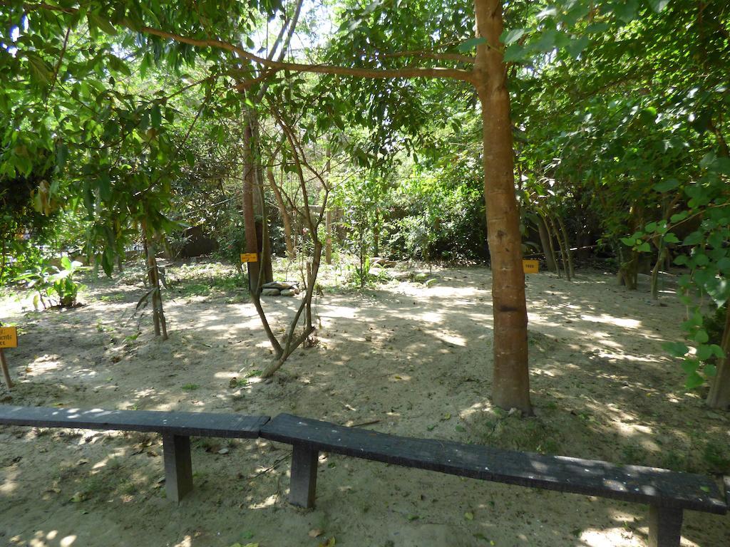 Chitwan Gaida Lodge Sauraha Eksteriør bilde