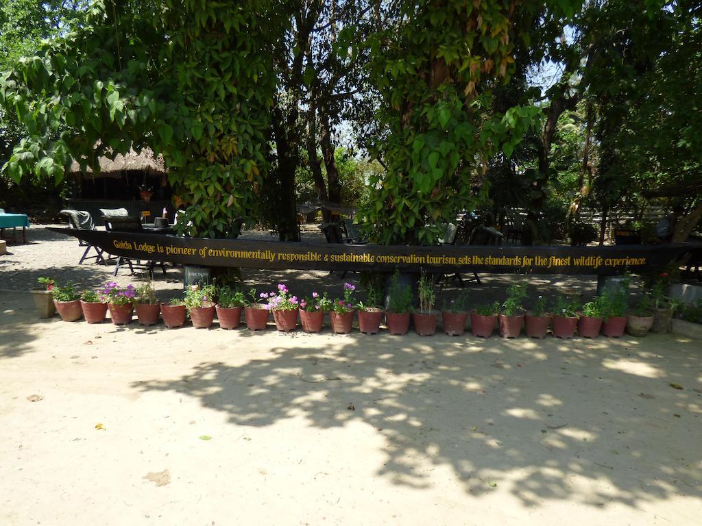 Chitwan Gaida Lodge Sauraha Eksteriør bilde