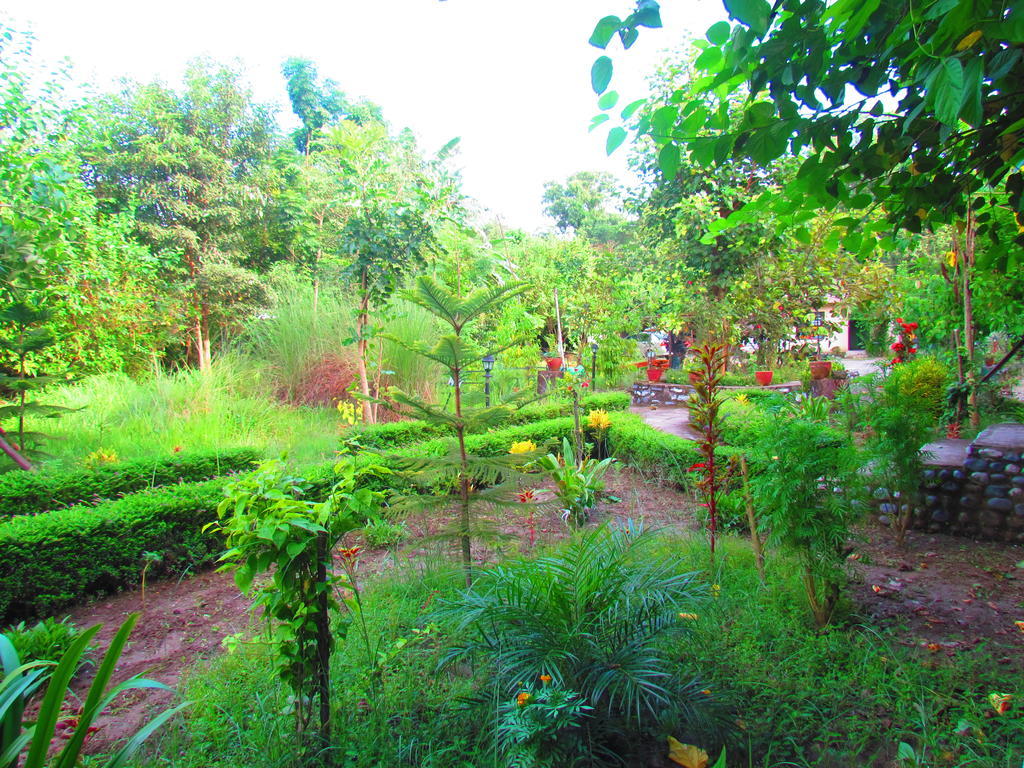 Chitwan Gaida Lodge Sauraha Eksteriør bilde