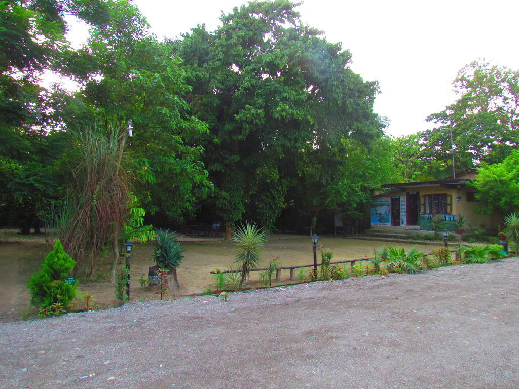 Chitwan Gaida Lodge Sauraha Eksteriør bilde