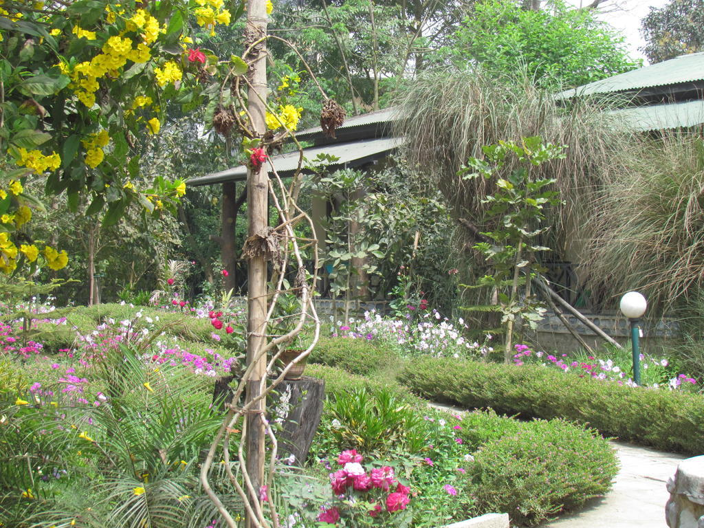 Chitwan Gaida Lodge Sauraha Eksteriør bilde