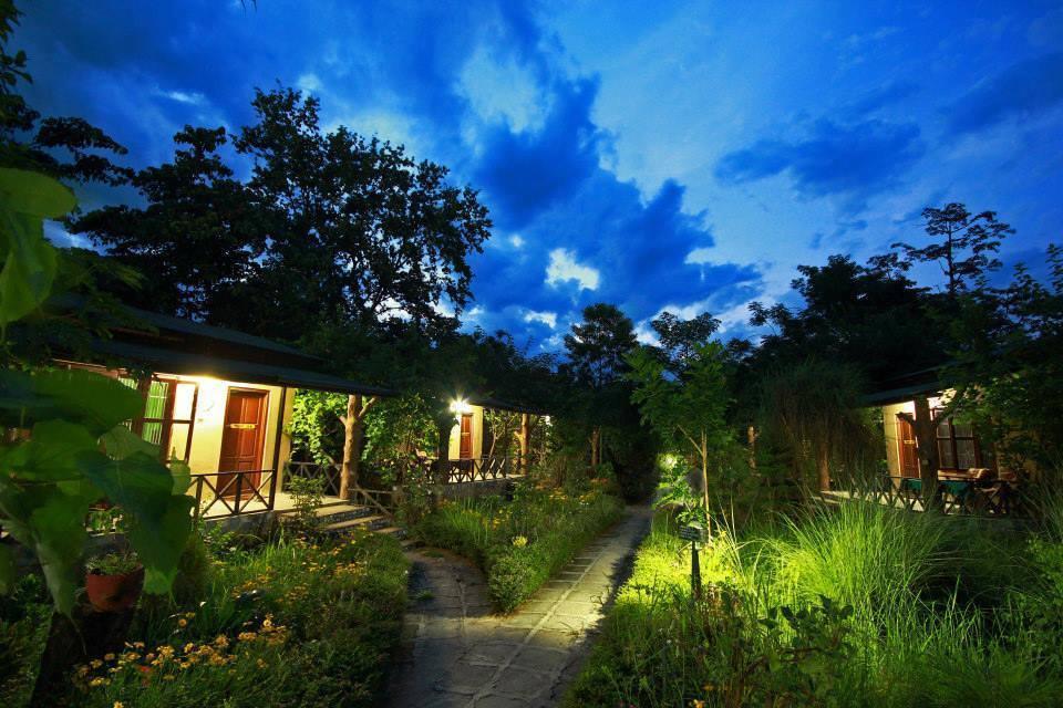 Chitwan Gaida Lodge Sauraha Eksteriør bilde