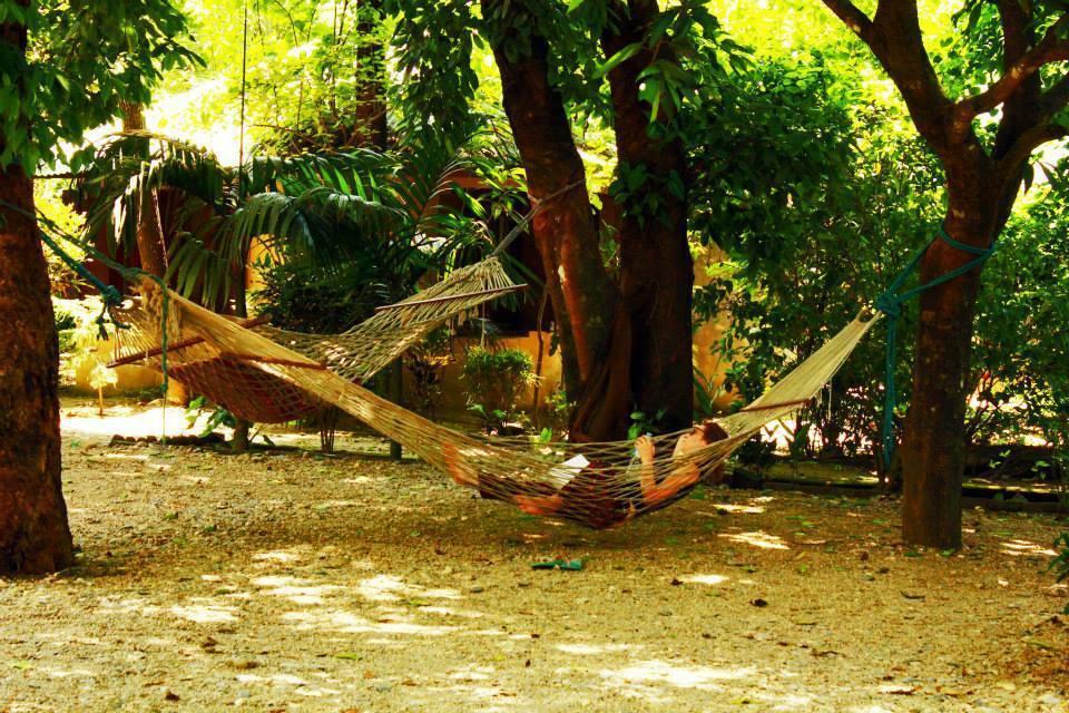 Chitwan Gaida Lodge Sauraha Eksteriør bilde