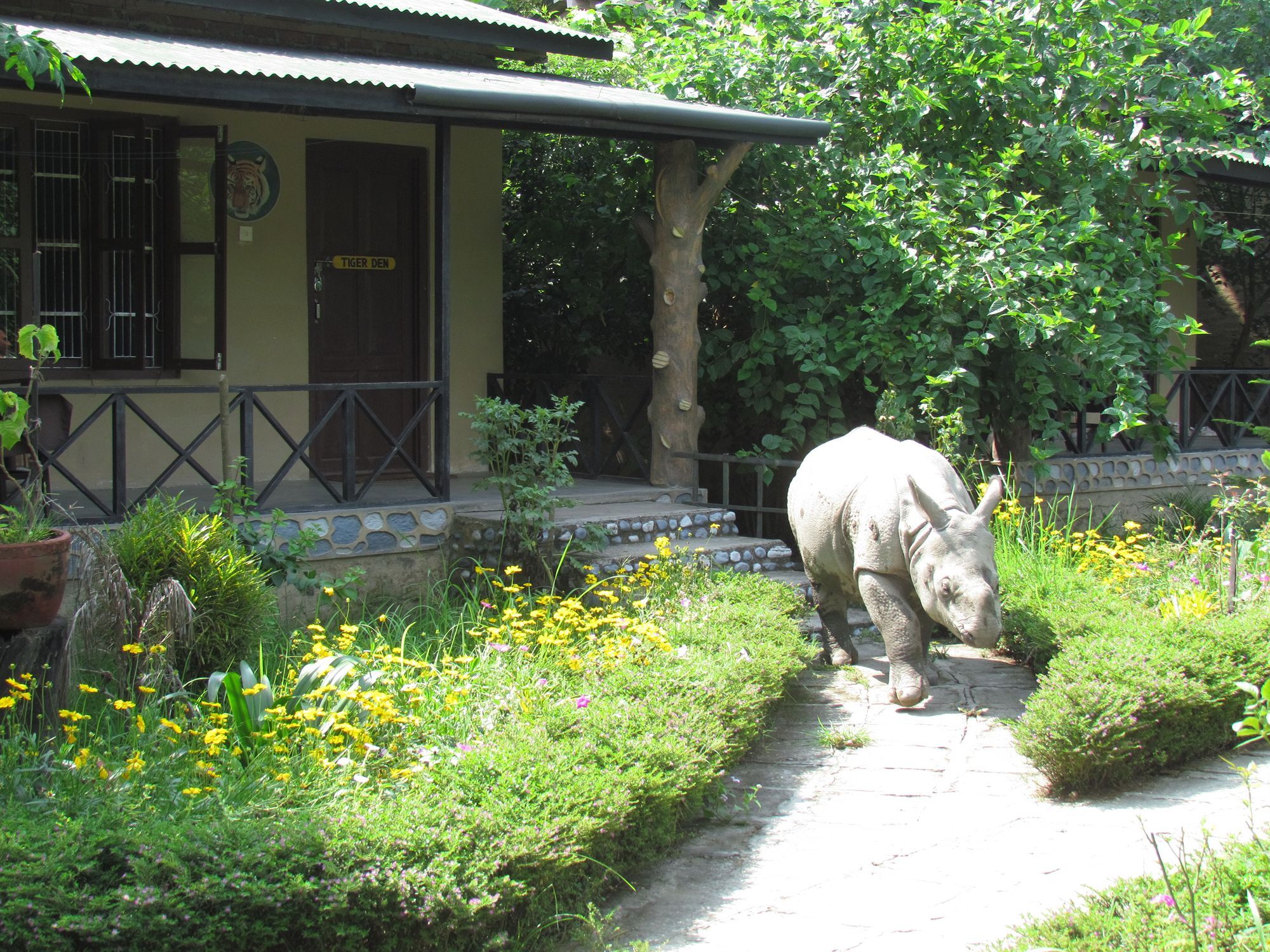 Chitwan Gaida Lodge Sauraha Eksteriør bilde